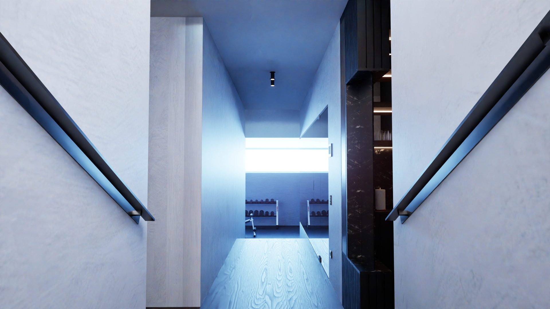 Image1 (1)